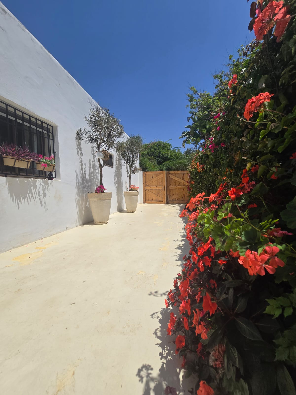 Villa harh 3